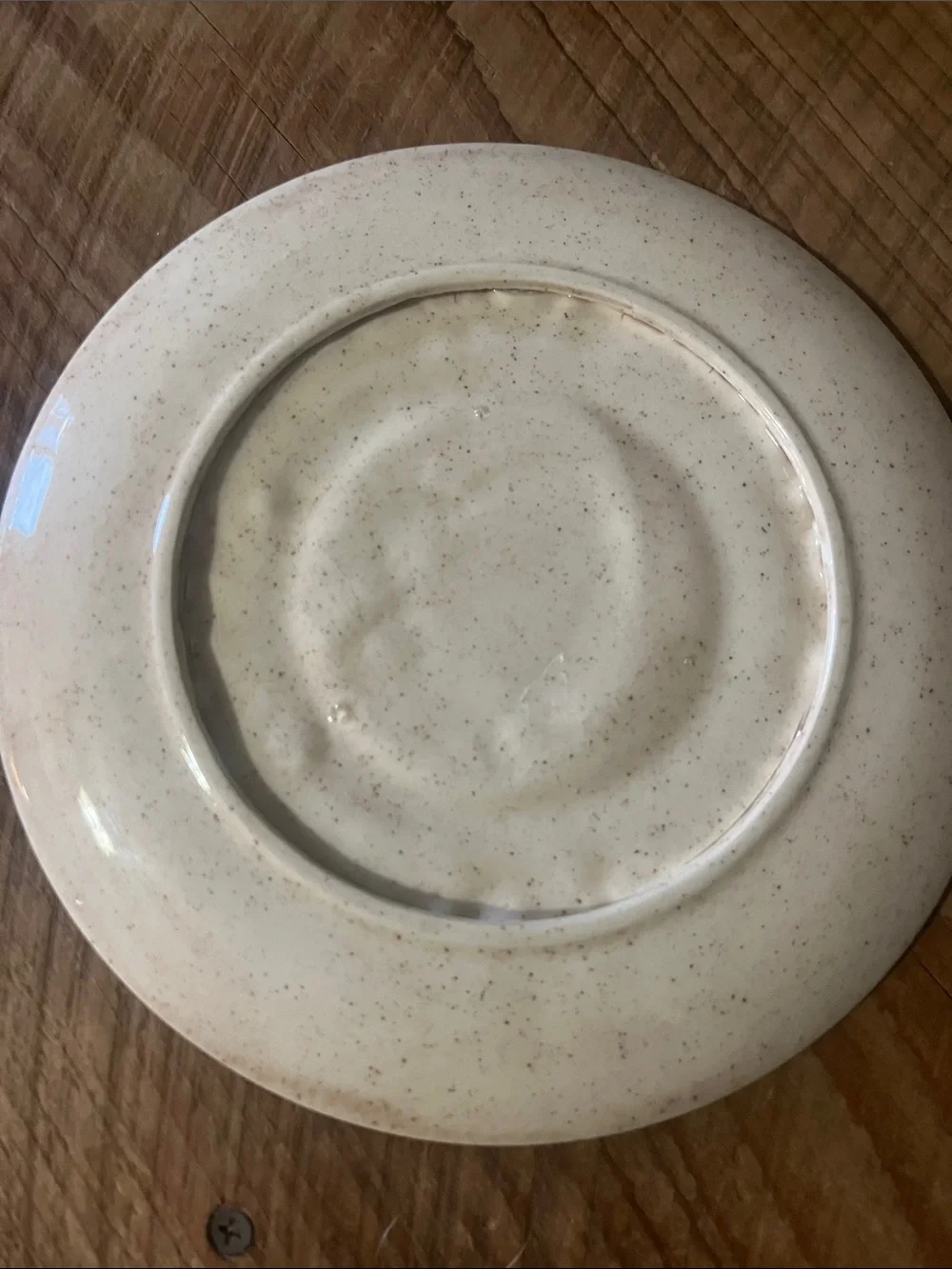 Arnels Hand-Painted Ceramic Soup Plate